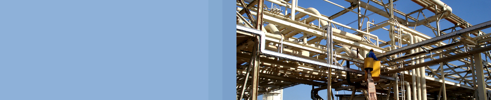 Your Local partner in Oil & Gas Sector